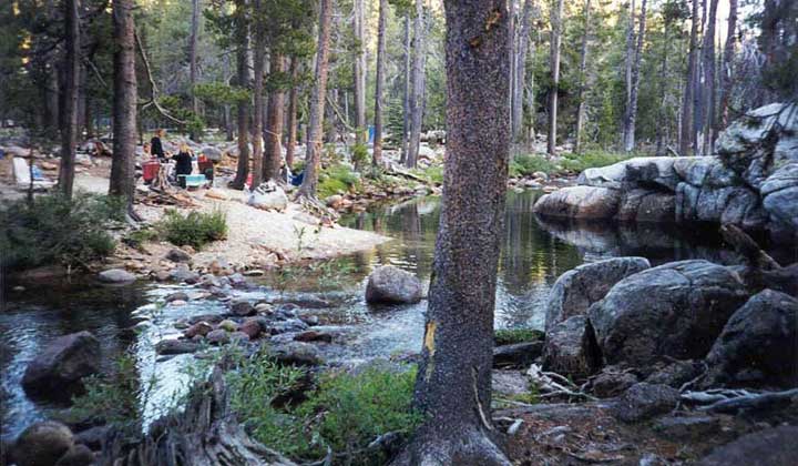 Campsite at Yosemite Creek campground, Yosemite National Park