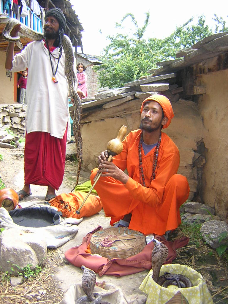 Snake charmers with cobras: India