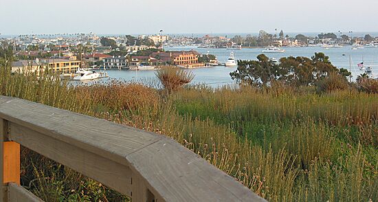 Newport Harbor | Viewed from Castaways Park, Newport Beach, California