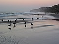 Just after sunset: Crystal Cove State Park, Laguna Beach, California