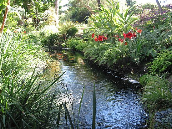 View of Koi fish pond from one of the many meditation benches - Meditation gardens: Yogananda Self-Realization Fellowship, Encinitas, California