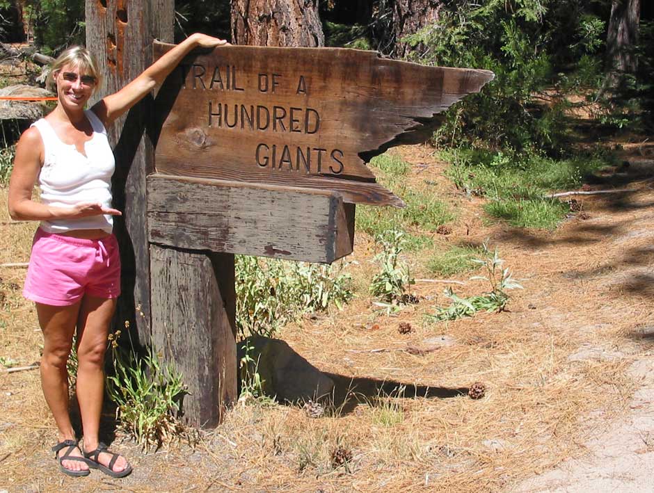 Trail of a Hundred Giants (Sequoias)