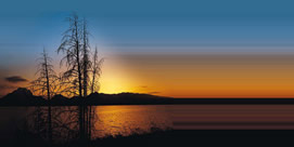 Real-life sunset