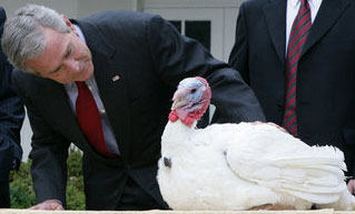President Bush pardons the Thanksgiving turkey