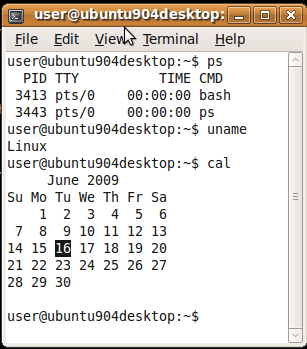 Linux shell terminal