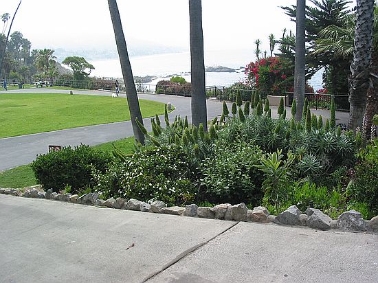Garden, Heisler Park, Laguna Beach, Orange County, California