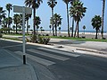 The beach: Santa Monica, California