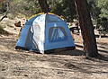 Our New Tent, Camping in Sequoia National Forest, Southern Sierra Mountains