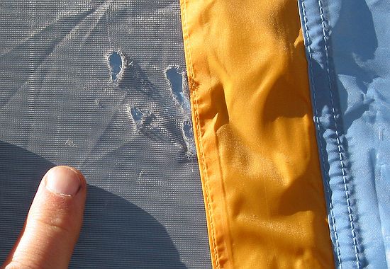 Tear in New Tent, Sequoia National Forest, Southern Sierra Mountains