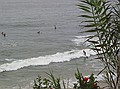 Surfers in the water at Thalia street beach, Laguna Beach