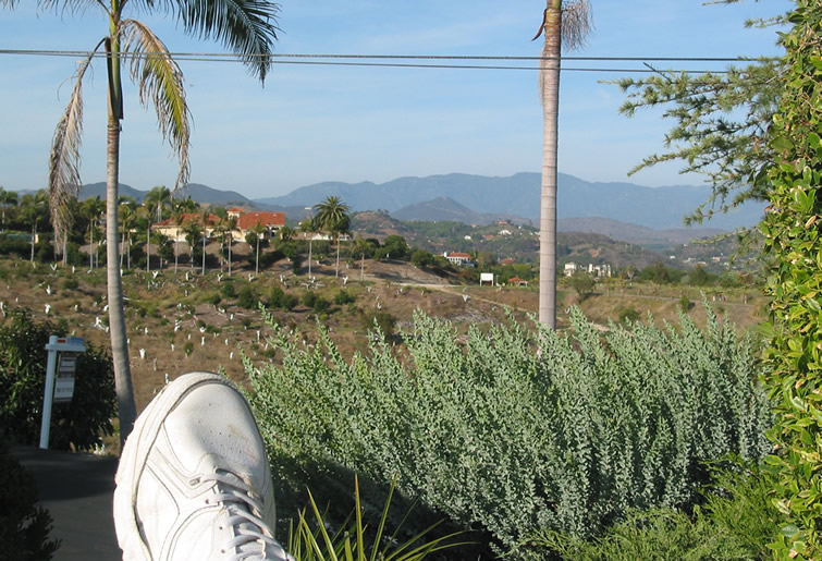 View of My Sneaker Facing Palomar Mtns to the East on June 1, 2015